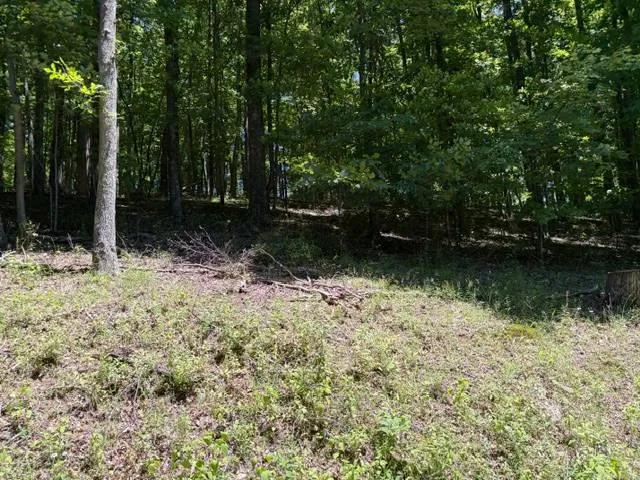 COUNTRY LOT, CLOSE TO TOWN