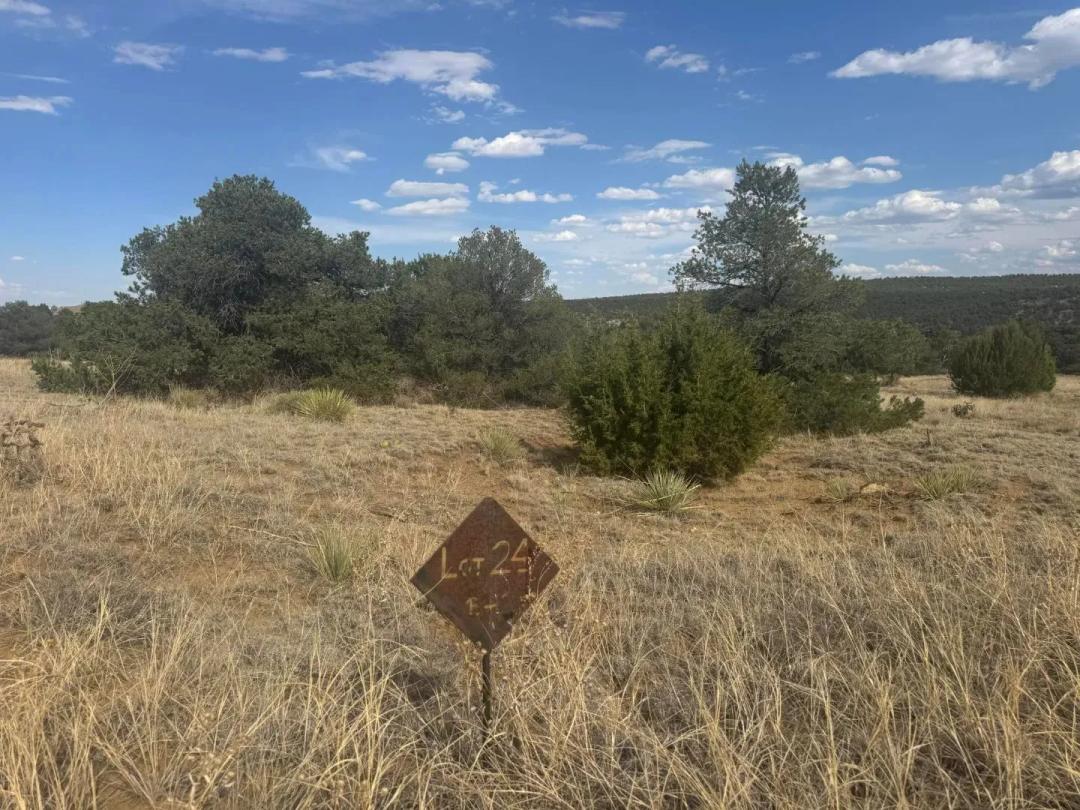 L24 B2 Black Diamond Park, Walsenburg, CO 81089