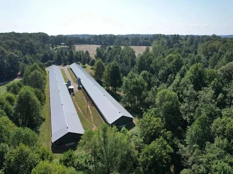 Rock Hill Breeder Farm – Two House Farm in Habersham County, Georgia