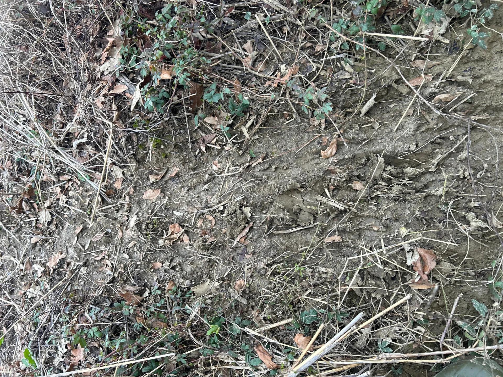 78950755-11
