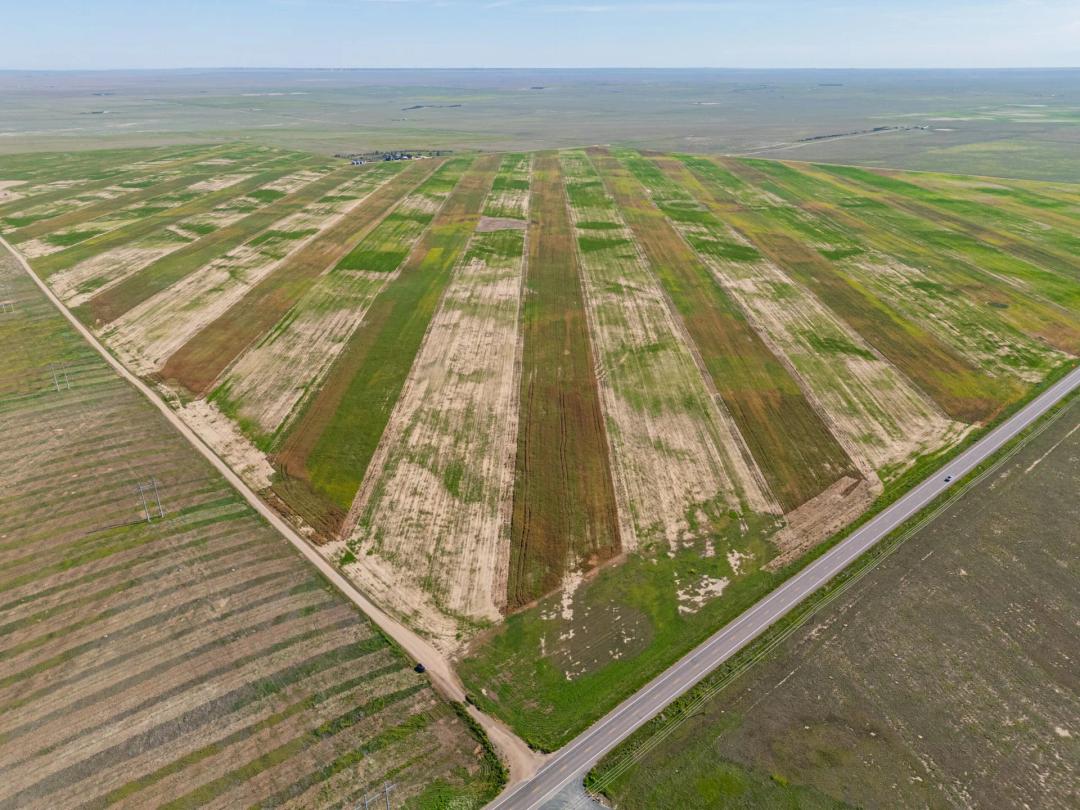 Briggsdale HWY 14 Homesite