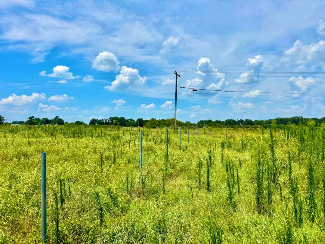 5.7 acres Outside Sulphur Springs
