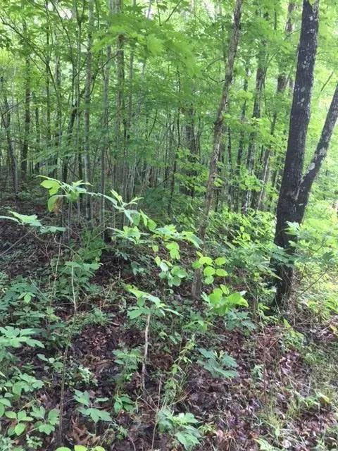 5 Acres on Veterans Lookout