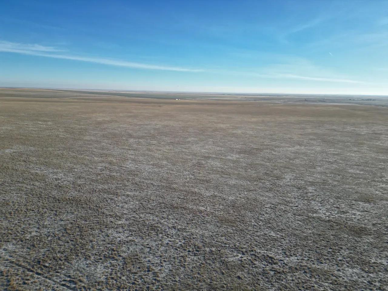 79088450-9