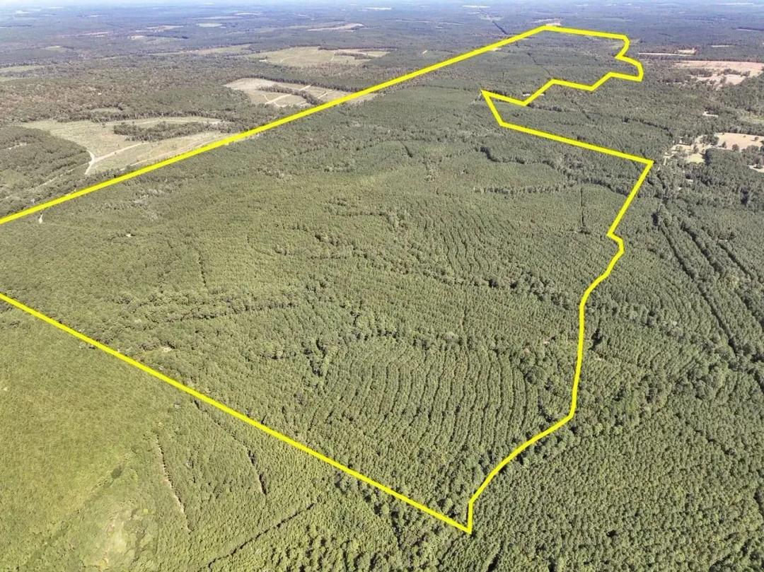 207 Acres | T-3 | County Road 2150 | Tyler County