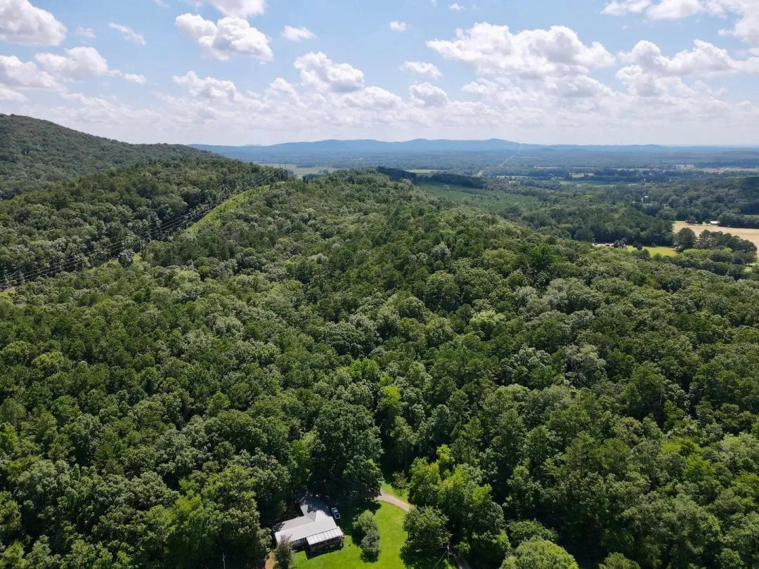 Sycamore Hunting & Timber Tract 80+/- acres