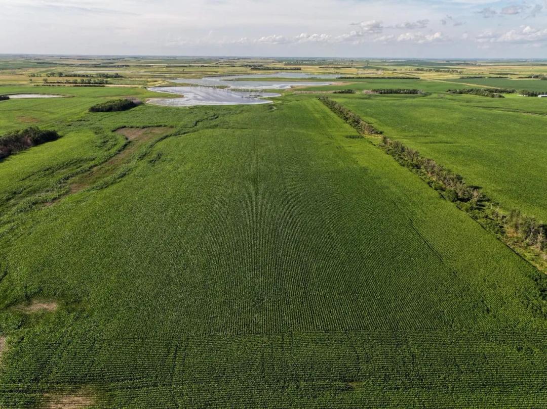 Charles Mix County, SD 160 Acres
