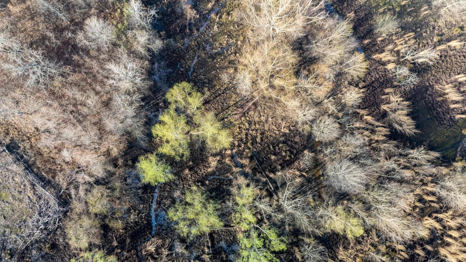 79213119-27