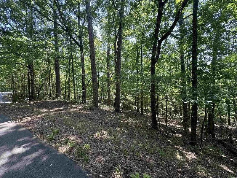  Prime Lakeview Retreat: 0.22-Acre Wooded Lot near Lake Desoto 