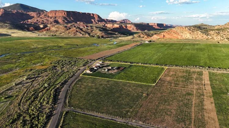 Fish and Feathers with Red Rock Views