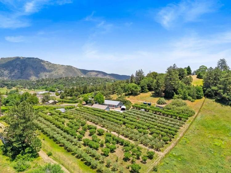 Apple Lane Orchard