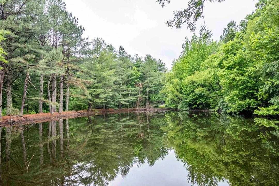 Secluded Home on 7± Acres with Two Ponds & Prime Hunting - Alexander County