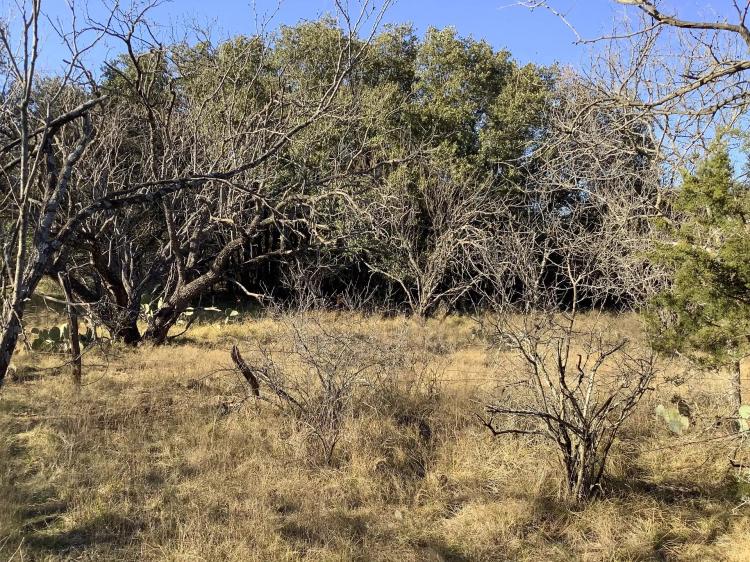 Available!! 5+/- Acres, Eastland County