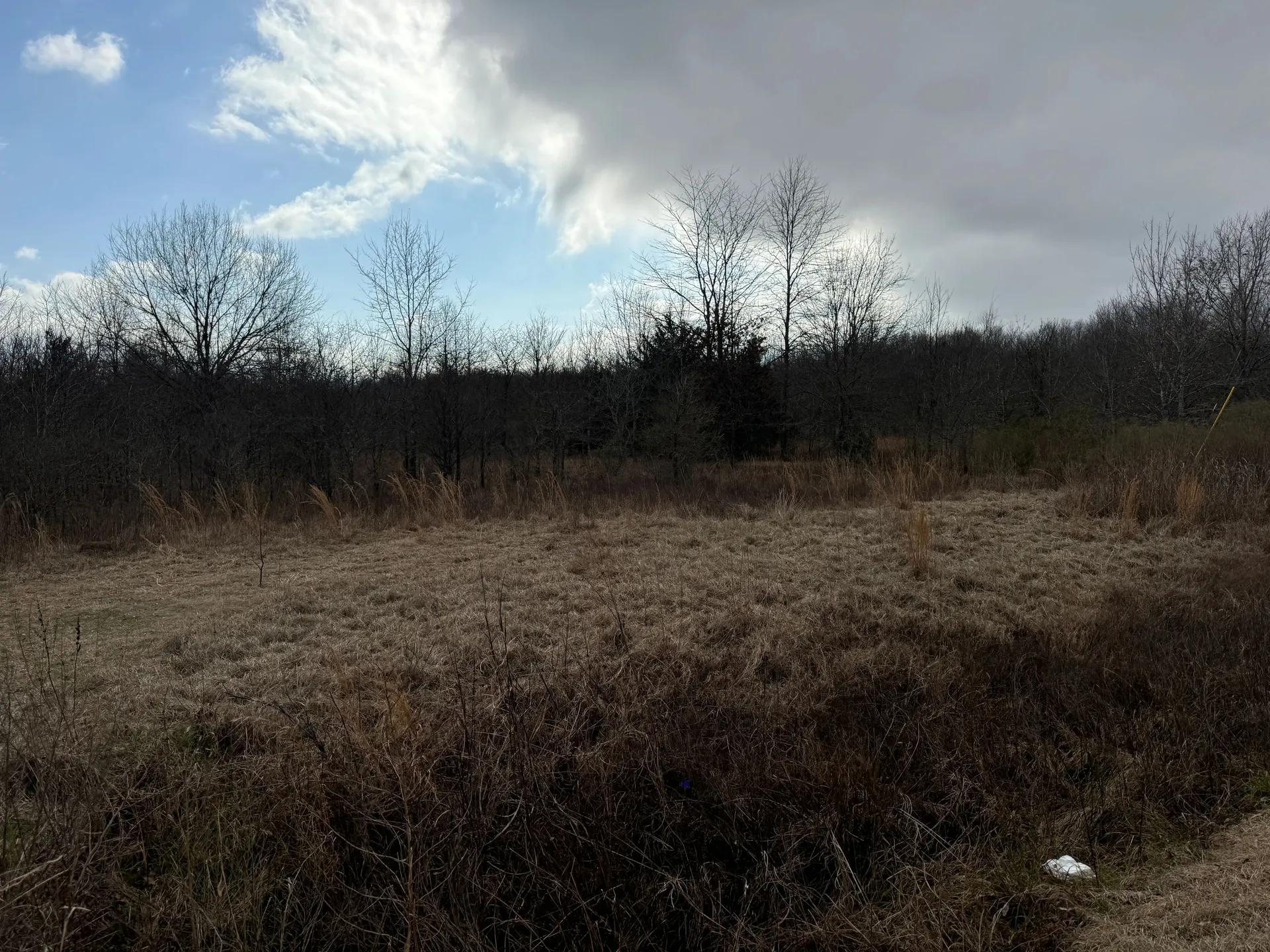 79283279-4