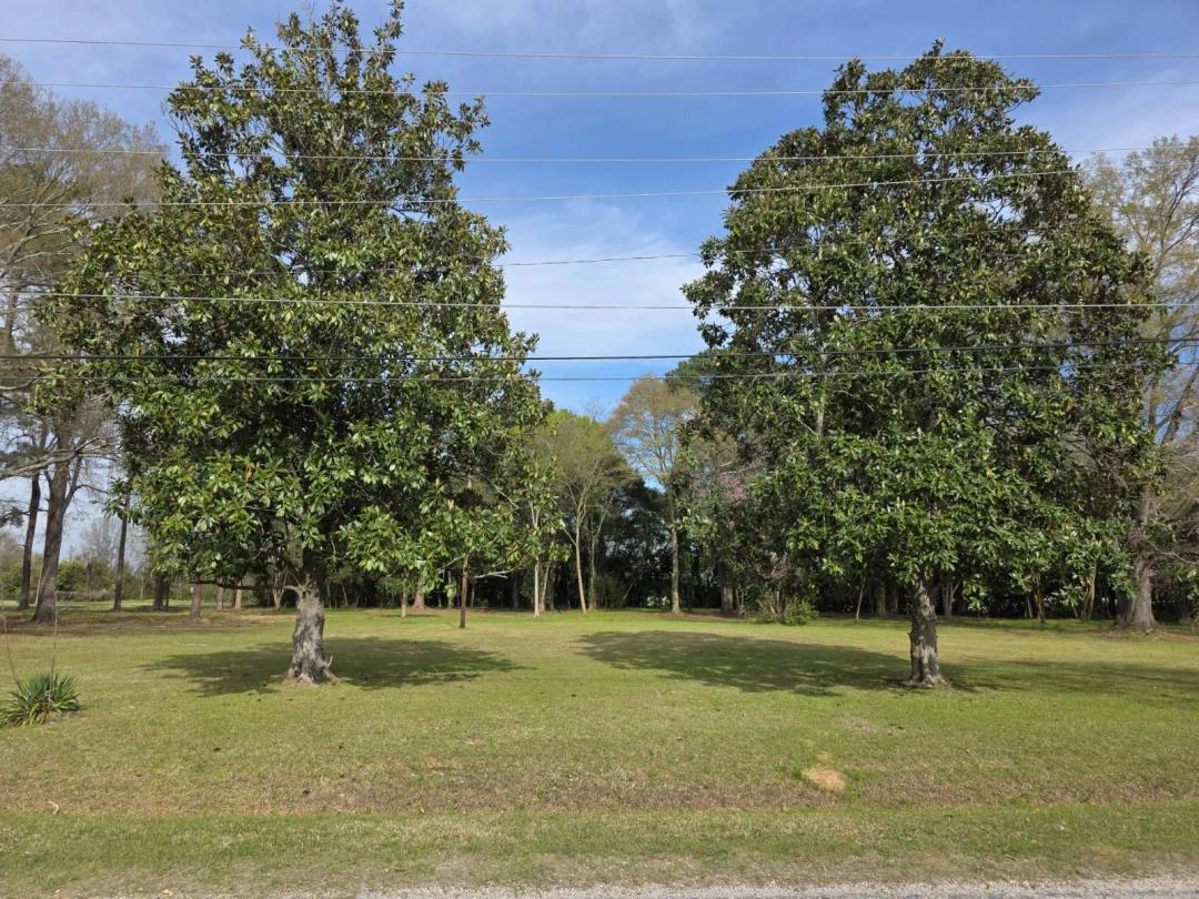 2.50 Acres at 311 Katherine Street