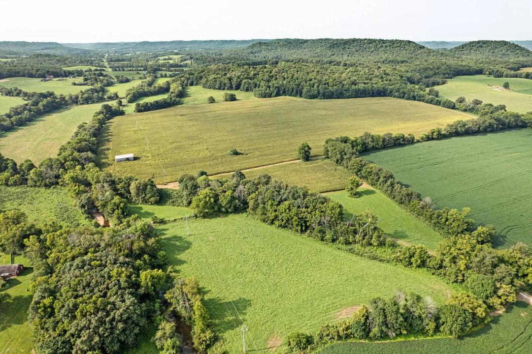 183.00 Acres at 0 E. Calvary Road