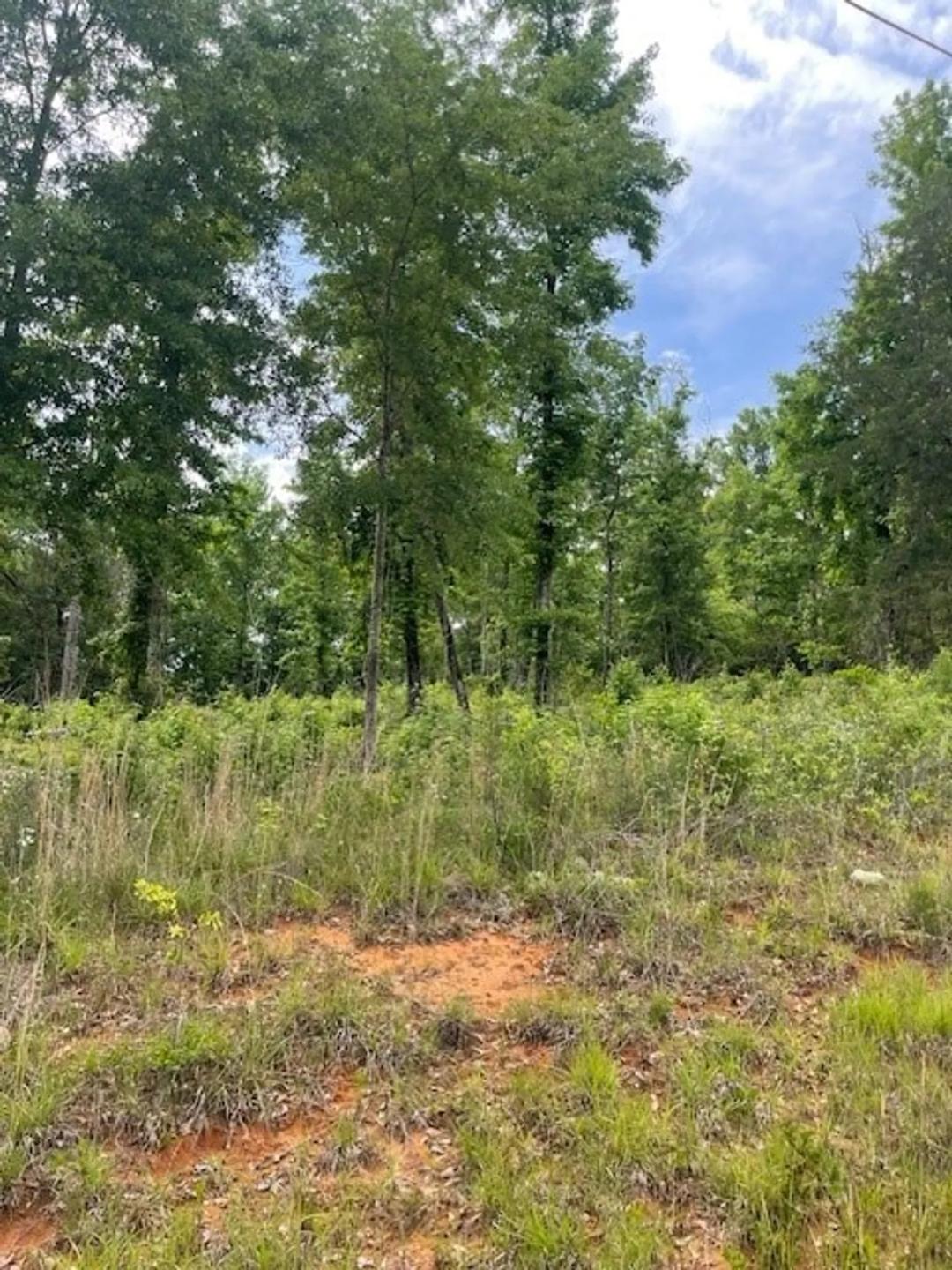 Lot 44 & 45 Holiday Shores Drive