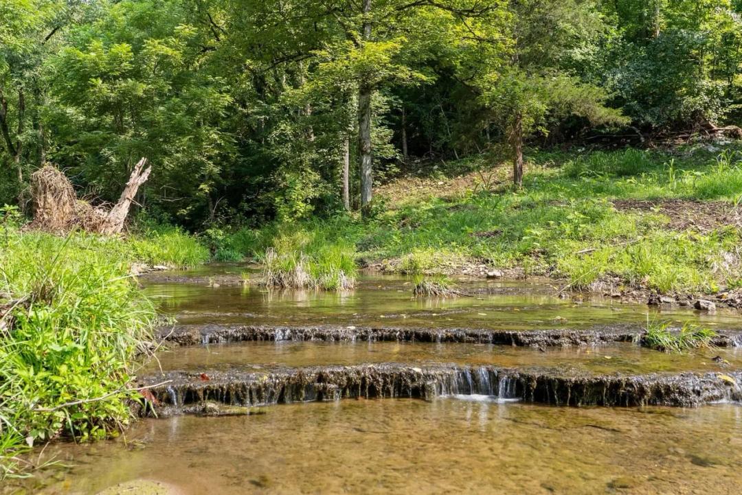 100± Acres Near Dale Hollow Lake in Clay County, Tennessee – Creek, Utilities & Privacy