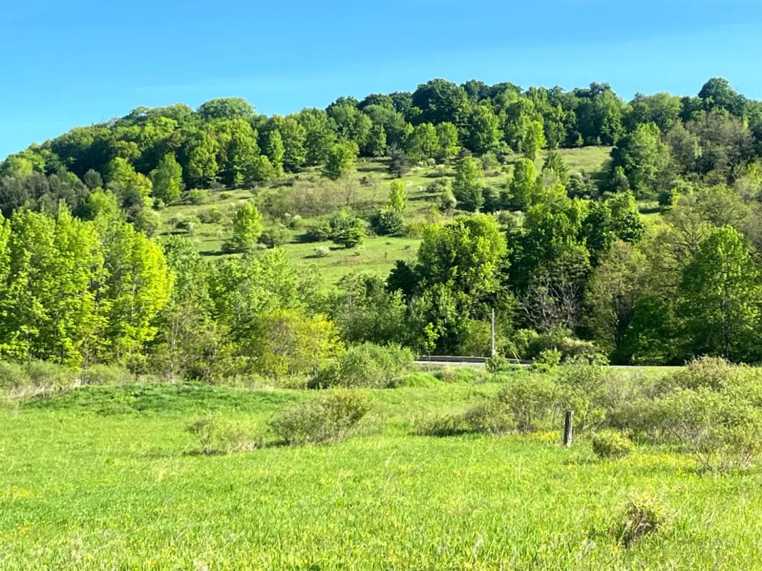 Southern Tier Valley Views