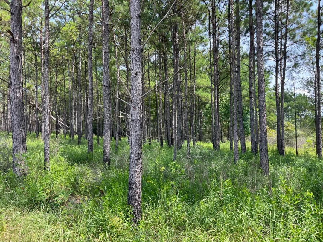 749.00 Acres at 0 CCC Road