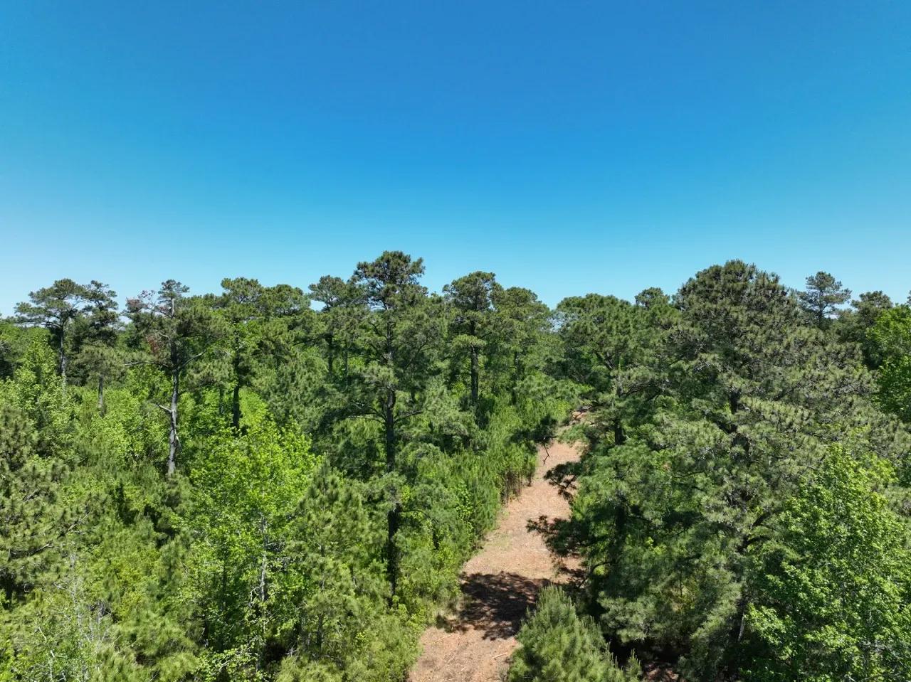 img_DJI_0856-Large