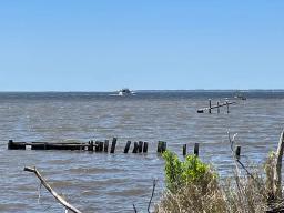 img_IMG_2850-Large