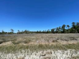 img_IMG_2854-Large