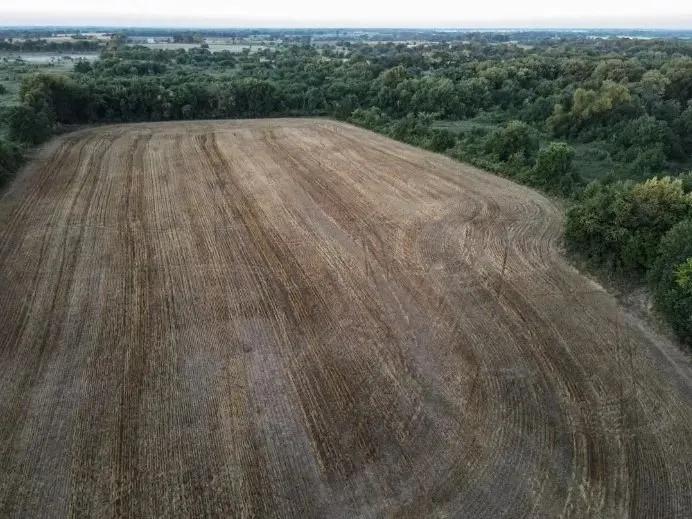 265± Acre Recreational or Investment Property for Sale – Allen County