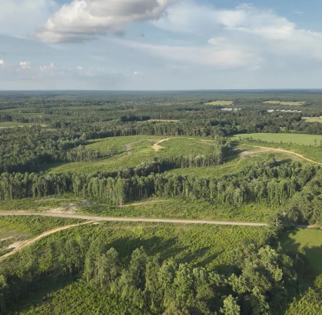 91 Acres in Wayne County in Waynesboro, MS