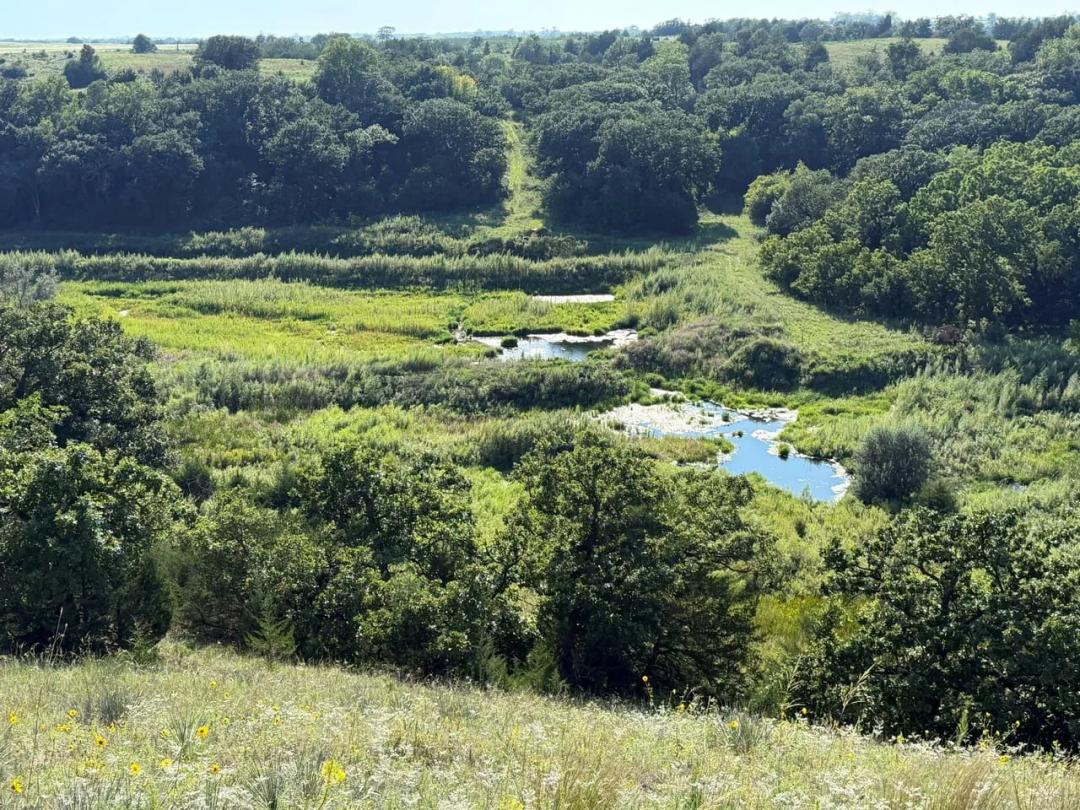 737.34 Acres+/-  Knox County, Nebraska