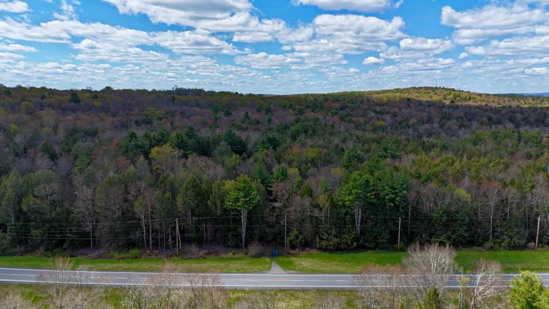 44.65 Acres Bethel, NY Building and Recreational Potential