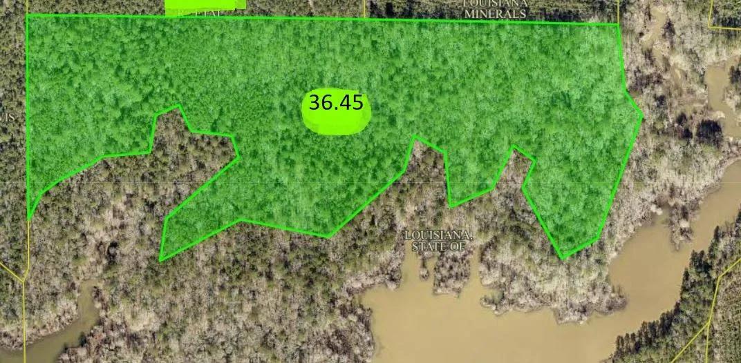 Waterfront Acreage Toledo Bend lake
