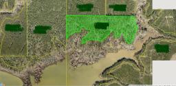 79426459-1