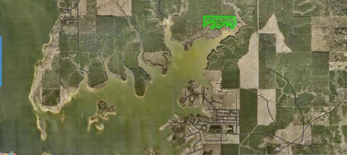 79426459-2