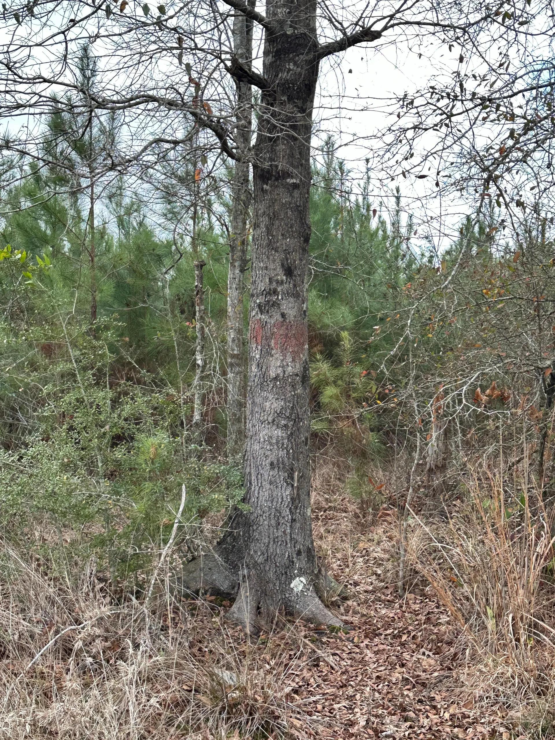 79436682-3