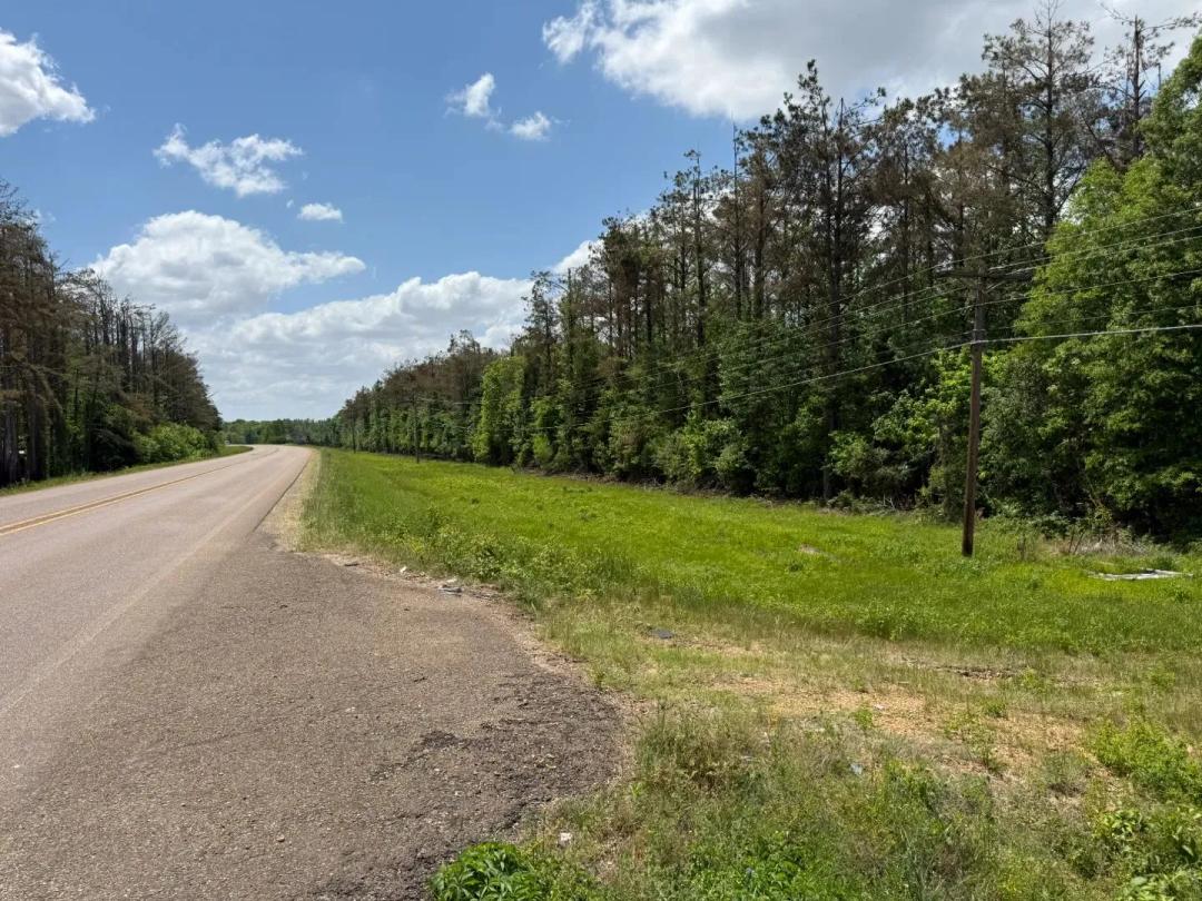 20 Acres in Leflore County, MS 
