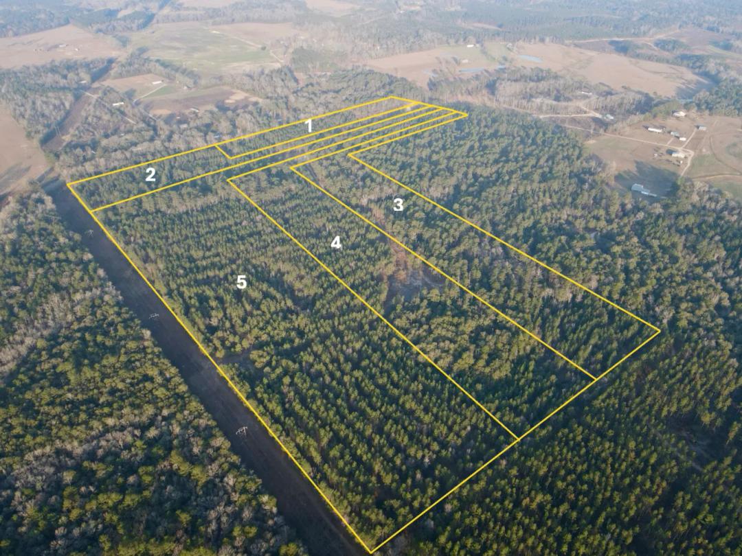 20.00 Acres at 0 Pearce Drive