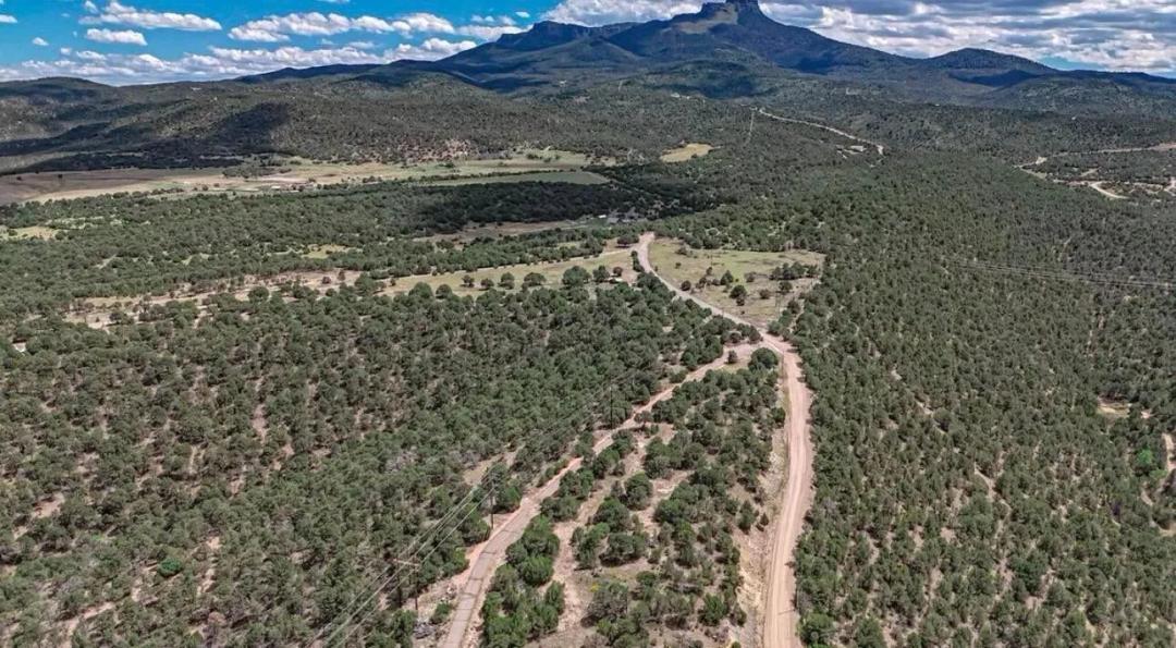 11771 Diamond View Pkwy, Trinidad, CO 81082