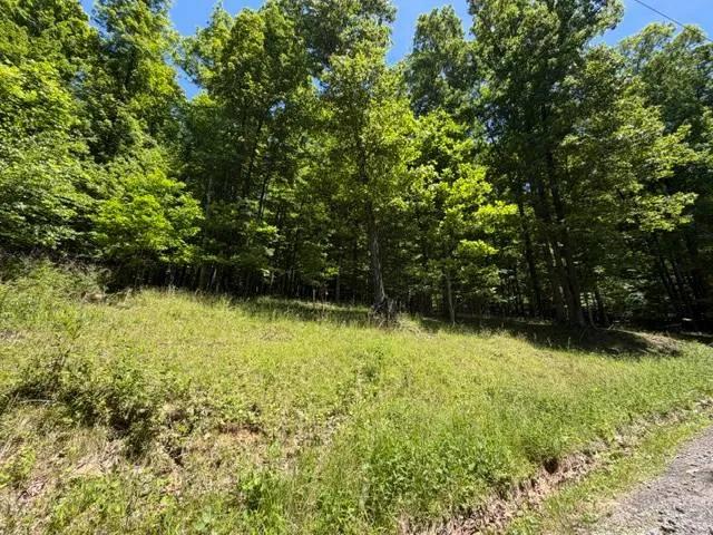 Country property convenient to town