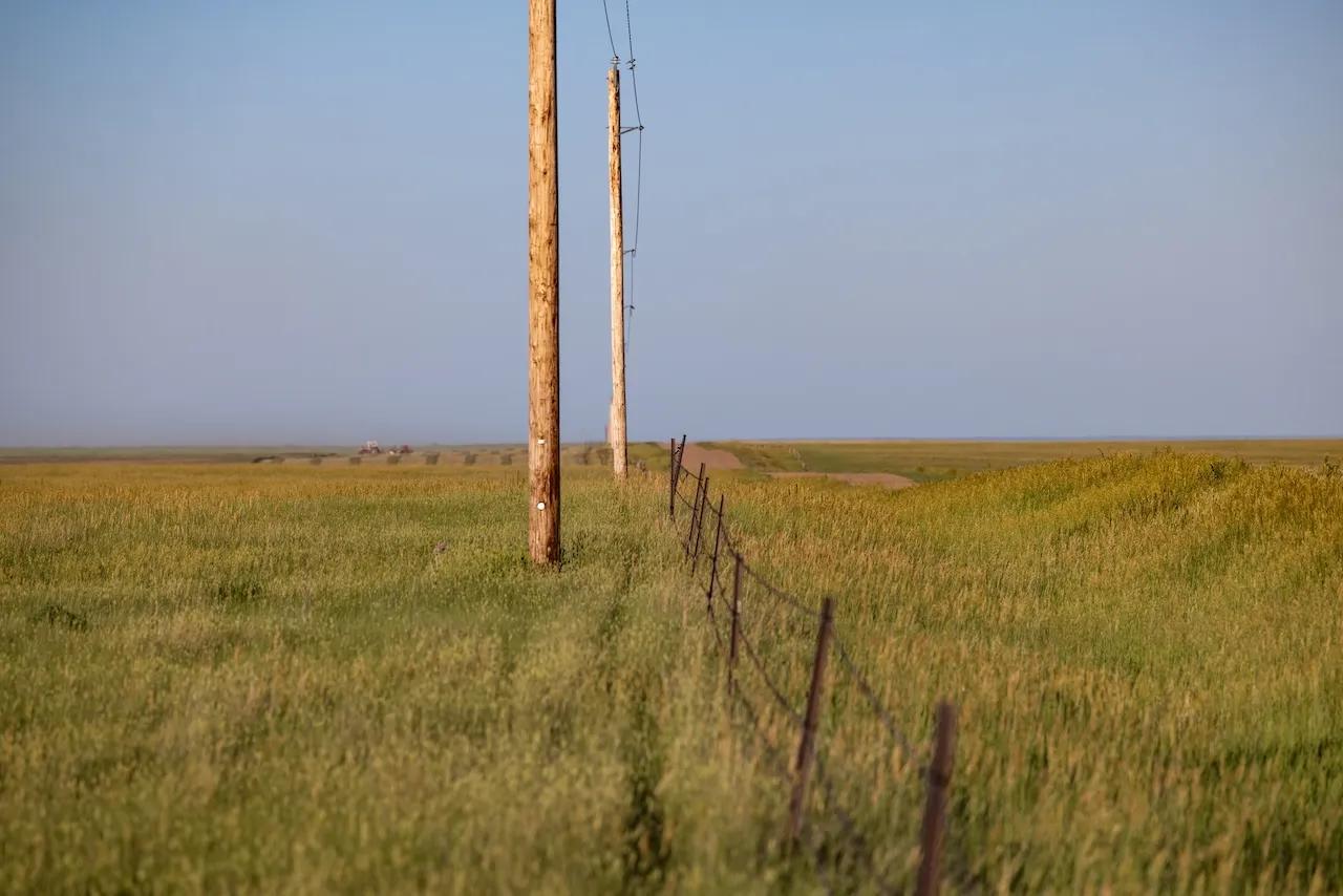 79499736-58
