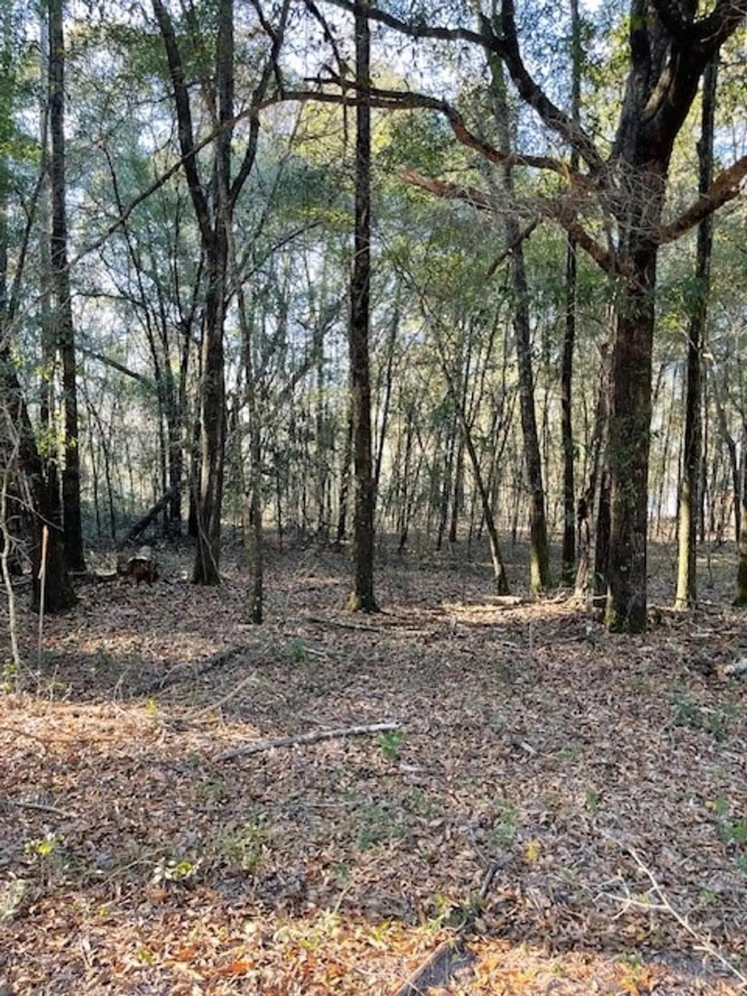 Lot 17 & Lot 18 Arrowhead Lane-Waterfront