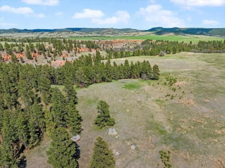 Tract 1 Lone Elk