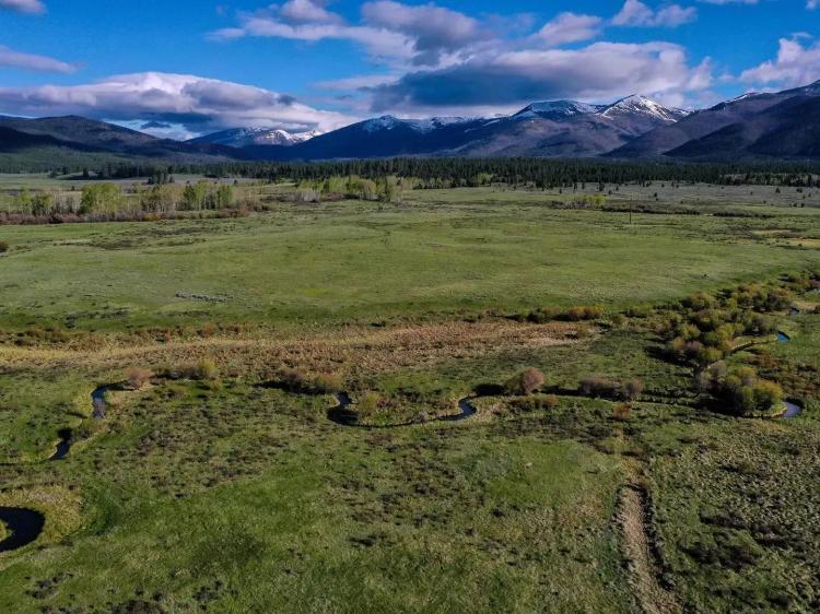 Snowberry Springs