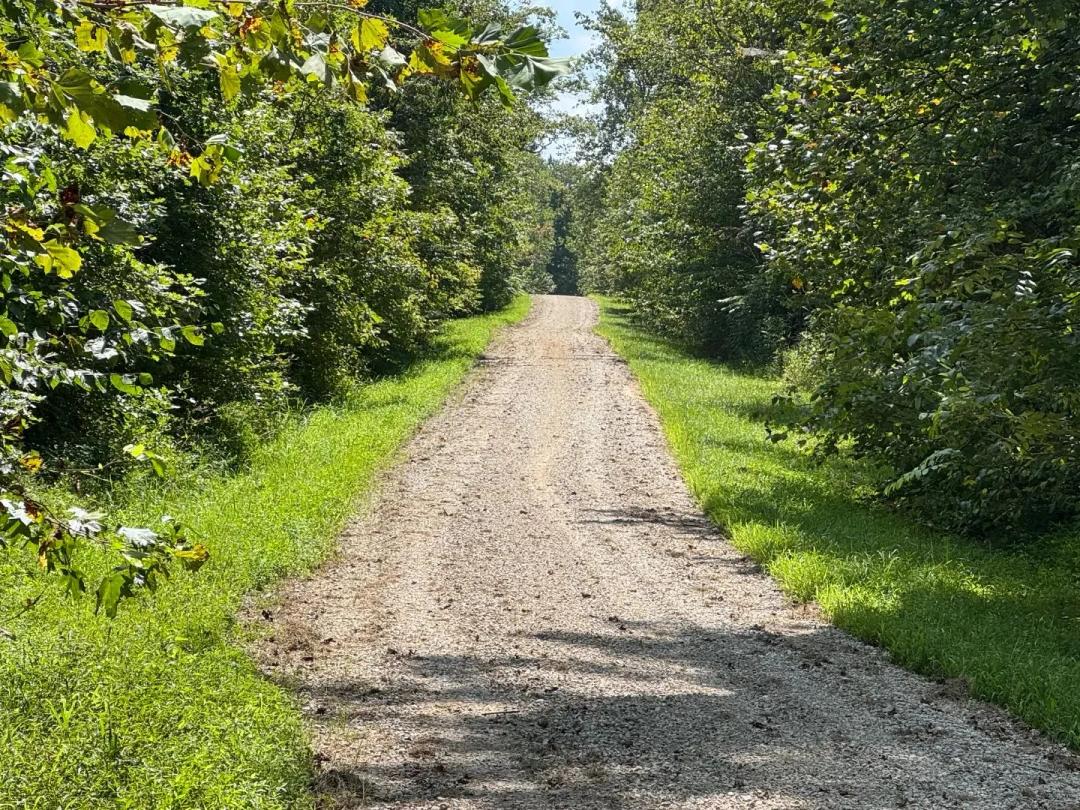 60 Acres in Ohio County, KY 