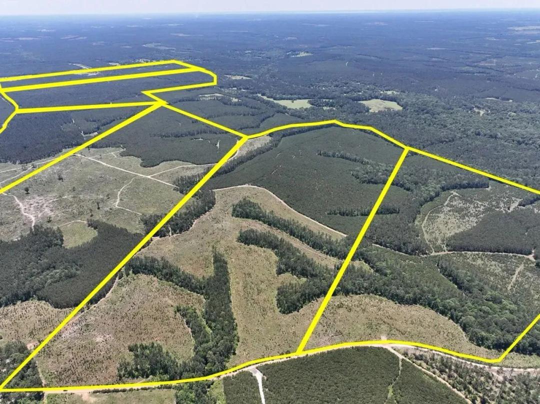 133 Acres | Union Springs Road | T-1 | 3078