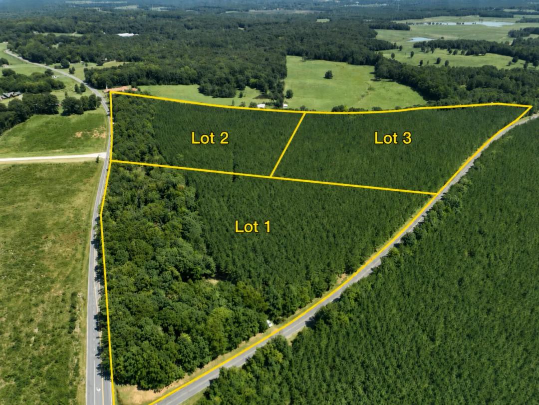 13.86 Acres at  NC Hwy 42