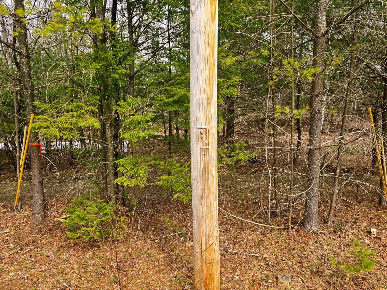 79609816-44