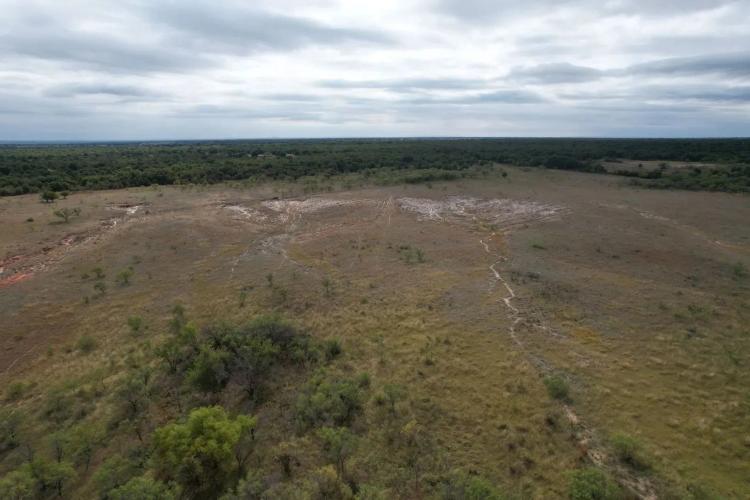 19.5+/- Acres, Jones County (Tract 9)