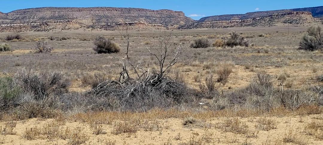 Hwy 509 Frontage - Power at road - Near Ambrosia Lake - Four 1-acre parcels available