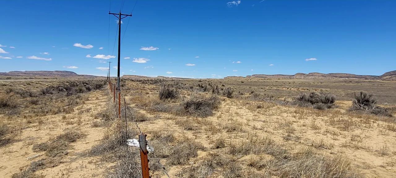 79631829-10
